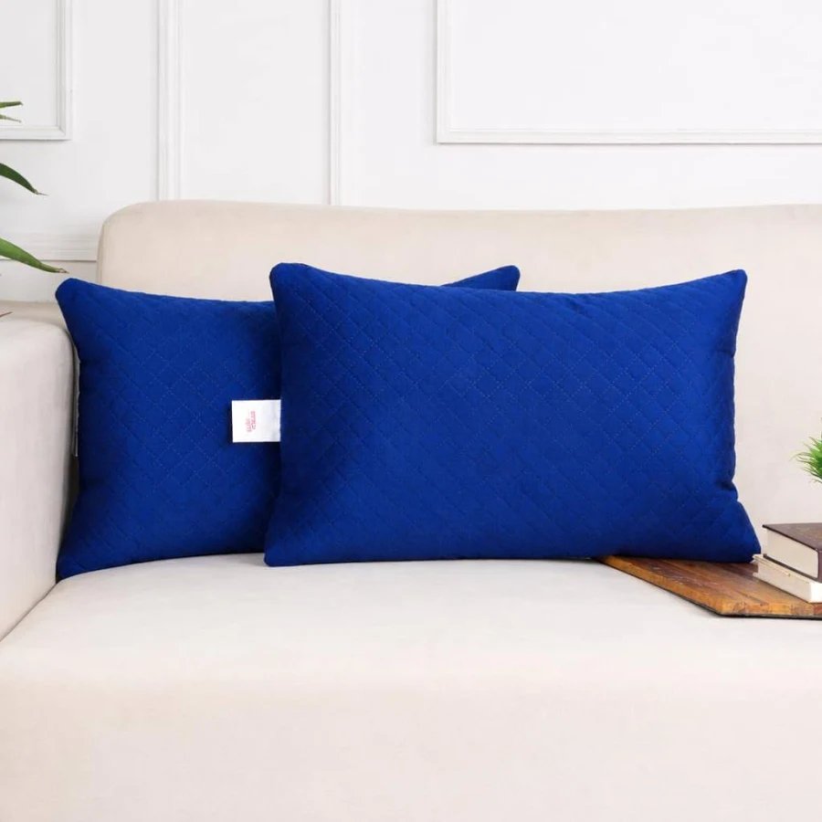 Velvet Cushion